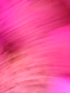 AvaChannel online show from 12.20.25