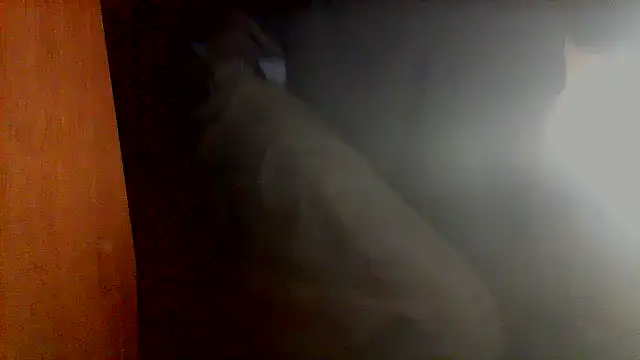 Snapshot of nice6incs chatting on 11.05.25 nice6incs online show from 11.05.25