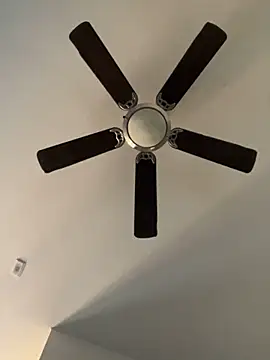 goldbuni online show from 12.19.24