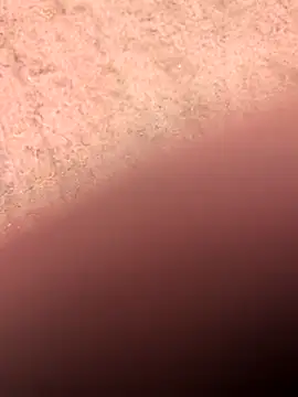 Snapshot of klownman1 chatting on 03.01.25 klownman1 online show from 03.01.25