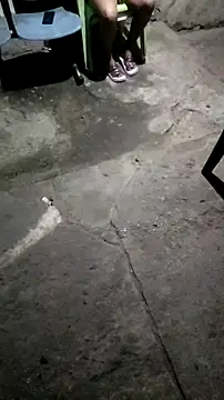 Snapshot of mendelicius chatting on 11.11.25 mendelicius online show from 11.11.25