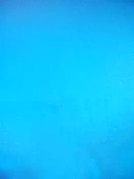 skrigul12 online show from 02.14.26