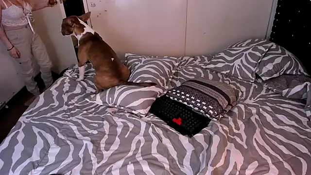 Snapshot of valerie_luxe_ chatting on 01.15.26 valerie luxe online show from 01.15.26