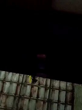 dantaradinho online show from 01.31.25