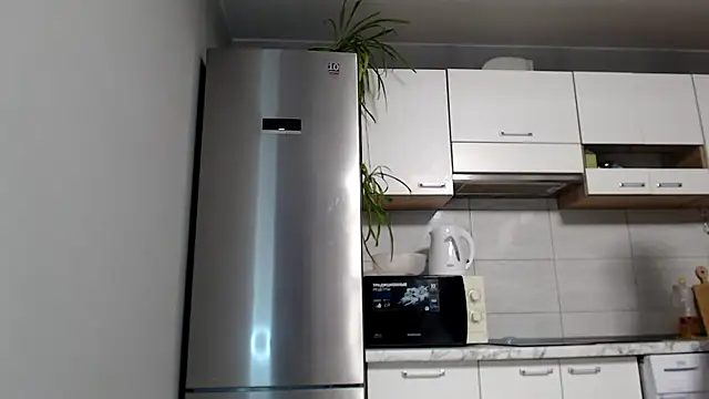 Snapshot of SierraSky_ chatting on 12.27.24 SierraSky online show from 12.27.24
