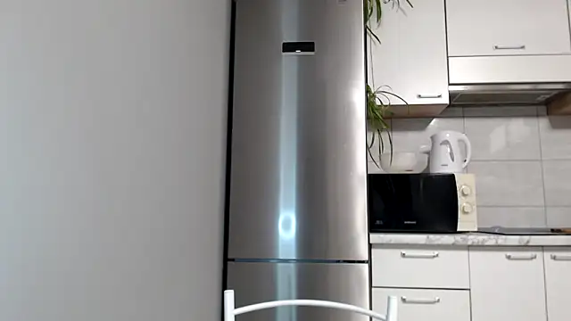 Snapshot of SierraSky_ chatting on 02.04.25 SierraSky online show from 02.04.25