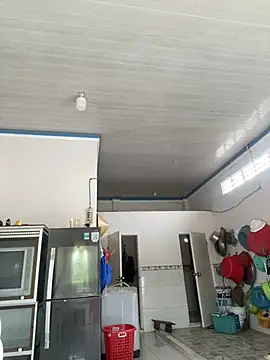 NDith online show from 03.17.25