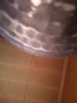 SashaahXXX online show from 02.12.26