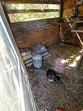 Mistress Melissa online show from 02.03.25