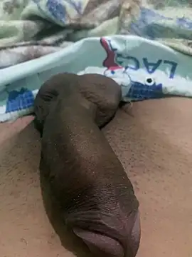 king cum  online show from 12.24.24