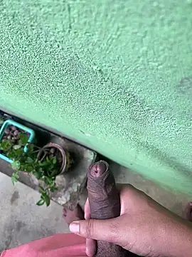 king cum  online show from 12.26.24