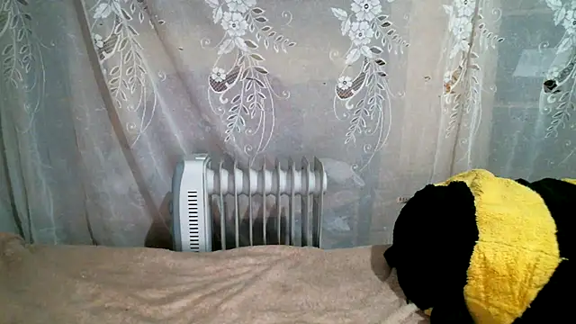 Snapshot of DennisXCaroll chatting on 01.20.25 DennisXCaroll online show from 01.20.25