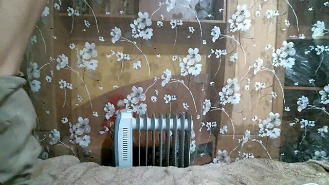 Snapshot of DennisXCaroll chatting on 02.14.25 DennisXCaroll online show from 02.14.25