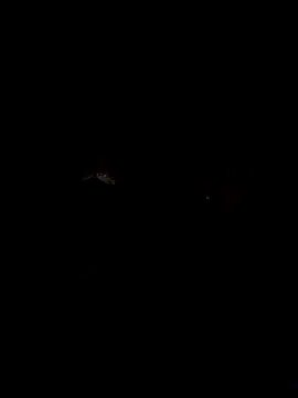 dadyyD95 online show from 01.31.25