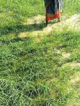 Snapshot of hairipussy2 chatting on 02.07.25 hairipussy2 online show from 02.07.25