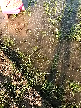 Snapshot of hairipussy2 chatting on 02.07.25 hairipussy2 online show from 02.07.25