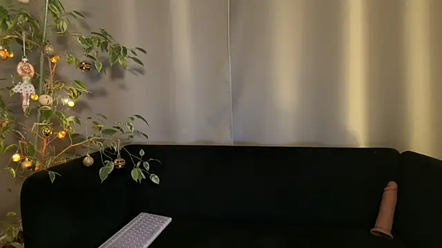 Snapshot of weshycouple chatting on 12.23.24 weshycouple online show from 12.23.24