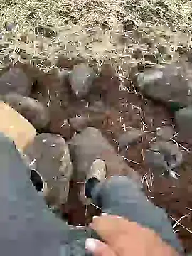 murokkk31 online show from 12.11.24