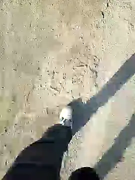 murokkk31 online show from 12.31.24