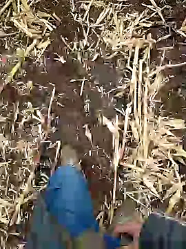 murokkk31 online show from 01.05.25