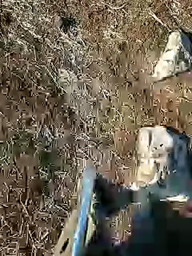 murokkk31 online show from 01.15.25