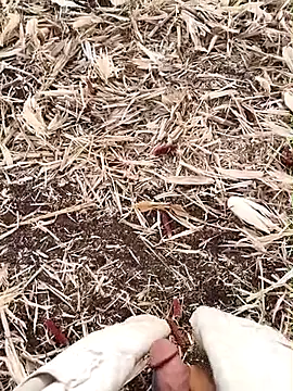 murokkk31 online show from 09.15.25