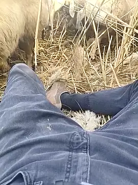 murokkk31 online show from 10.29.25