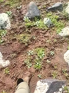 murokkk31 online show from 03.30.26