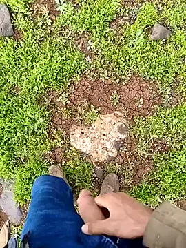 murokkk31 online show from 04.01.26