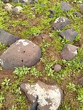 murokkk31 online show from 04.03.26