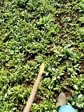 murokkk31 online show from 04.06.26