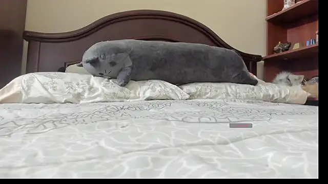 Snapshot of linnie_ chatting on 02.02.26 linnie online show from 02.02.26