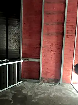 Hellen 111 online show from 11.11.25