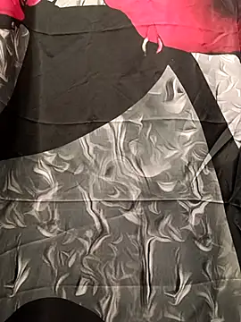 Snapshot of T92bbc chatting on 04.13.26 T92bbc online show from 04.13.26