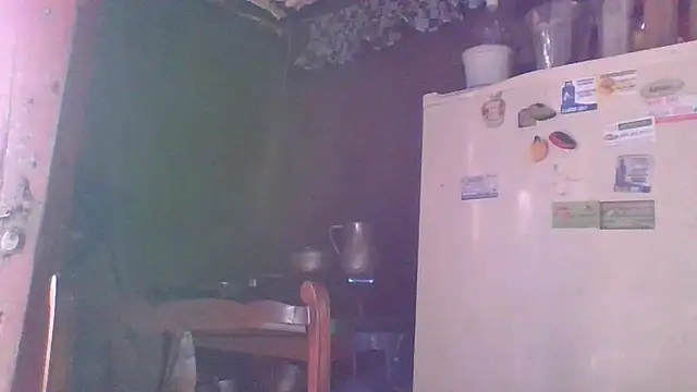 Snapshot of Alanagracia chatting on 12.30.24 Alanagracia online show from 12.30.24