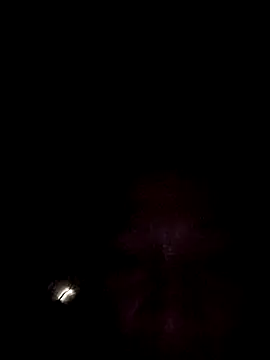 miicheele32 online show from 10.18.25