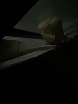 Snapshot of xxkingxx420 chatting on 12.16.24 xxkingxx420 online show from 12.16.24