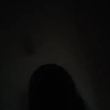 wlammi ptr online show from 12.01.25