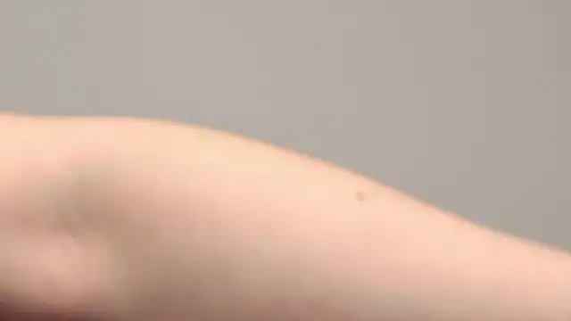 AliceMunro online show from 01.25.25