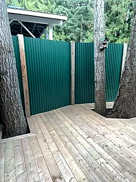 twist699 online show from 11.11.25