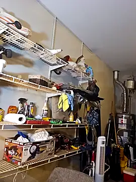 personalityalwayswins2 online show from 01.31.25