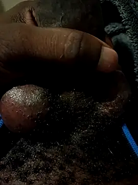 DickMinister1 online show from 12.05.25