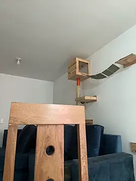 SofiaG  online show from 12.27.24