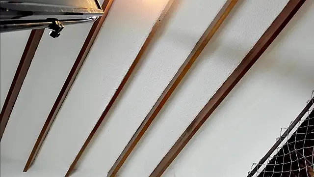 Beard xox online show from 12.04.24