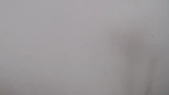 leoytessa 10 online show from 12.05.24