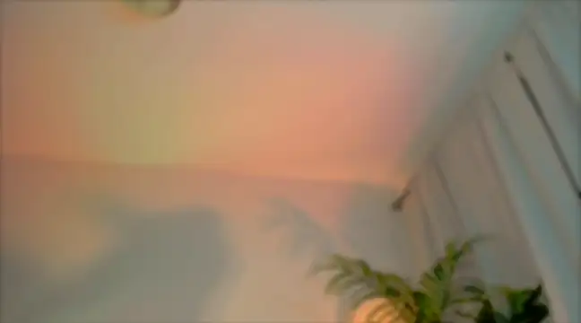  cherry bloss  online show from 03.04.25