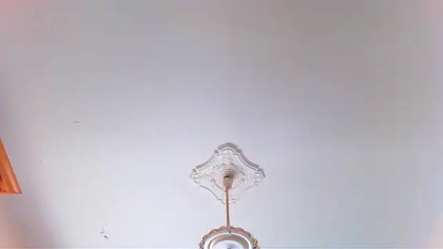 wolfman38 online show from 04.28.26