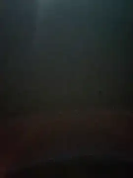 cumshotboy01 online show from 12.16.24