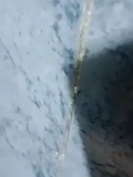 Chancho141414 online show from 10.18.25