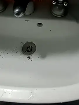 Chancho141414 online show from 11.15.25